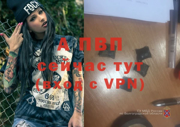 каннабис Богородицк