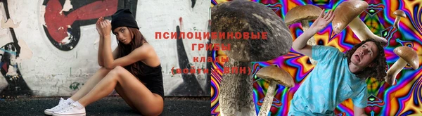 каннабис Богородицк