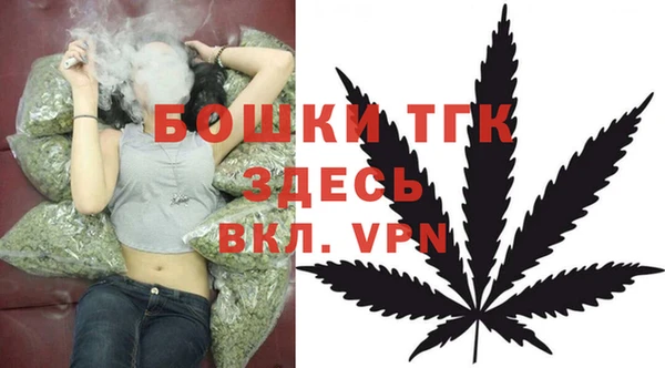 шишки Богданович